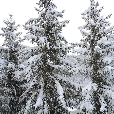 Haus Bergkristall Samnaun