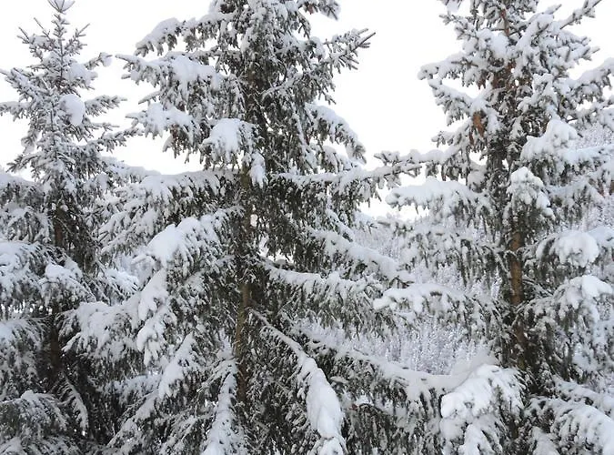 Haus Bergkristall Samnaun